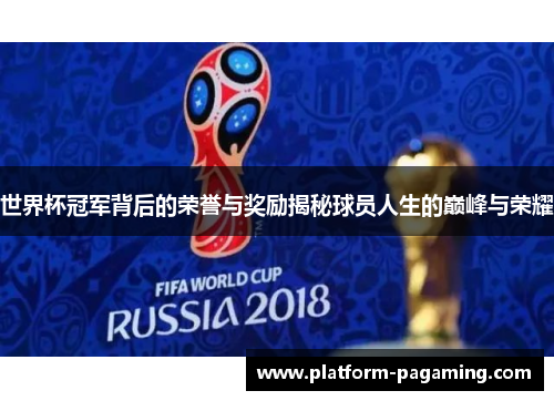 世界杯冠军背后的荣誉与奖励揭秘球员人生的巅峰与荣耀 世界杯冠军背后的荣誉与奖励揭秘球员人生的巅峰与荣耀