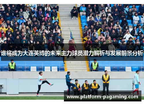 谁将成为大连英博的未来主力球员潜力解析与发展前景分析 谁将成为大连英博的未来主力球员潜力解析与发展前景分析