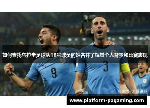 如何查找乌拉圭足球队16号球员的姓名并了解其个人背景和比赛表现 如何查找乌拉圭足球队16号球员的姓名并了解其个人背景和比赛表现