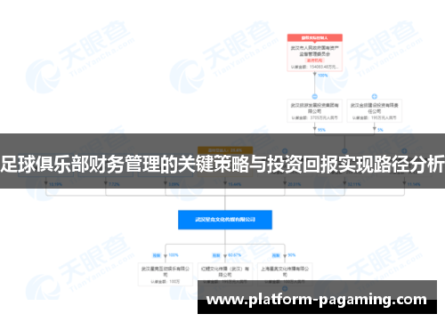 足球俱乐部财务管理的关键策略与投资回报实现路径分析 足球俱乐部财务管理的关键策略与投资回报实现路径分析