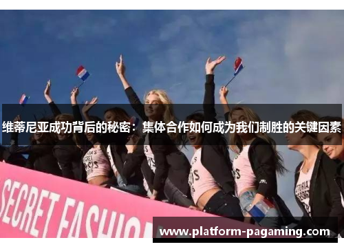 维蒂尼亚成功背后的秘密：集体合作如何成为我们制胜的关键因素