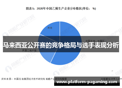马来西亚公开赛的竞争格局与选手表现分析