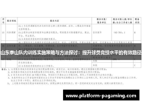 山东泰山队内训练实施策略与方法探讨：提升球员竞技水平的有效路径