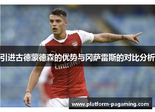 引进古德蒙德森的优势与冈萨雷斯的对比分析