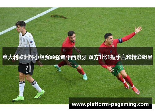 意大利欧洲杯小组赛顽强逼平西班牙 双方1比1握手言和精彩纷呈