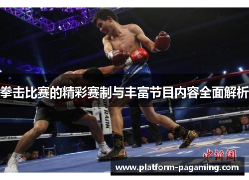 拳击比赛的精彩赛制与丰富节目内容全面解析