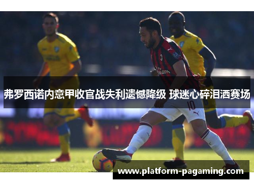 弗罗西诺内意甲收官战失利遗憾降级 球迷心碎泪洒赛场 弗罗西诺内意甲收官战失利遗憾降级 球迷心碎泪洒赛场